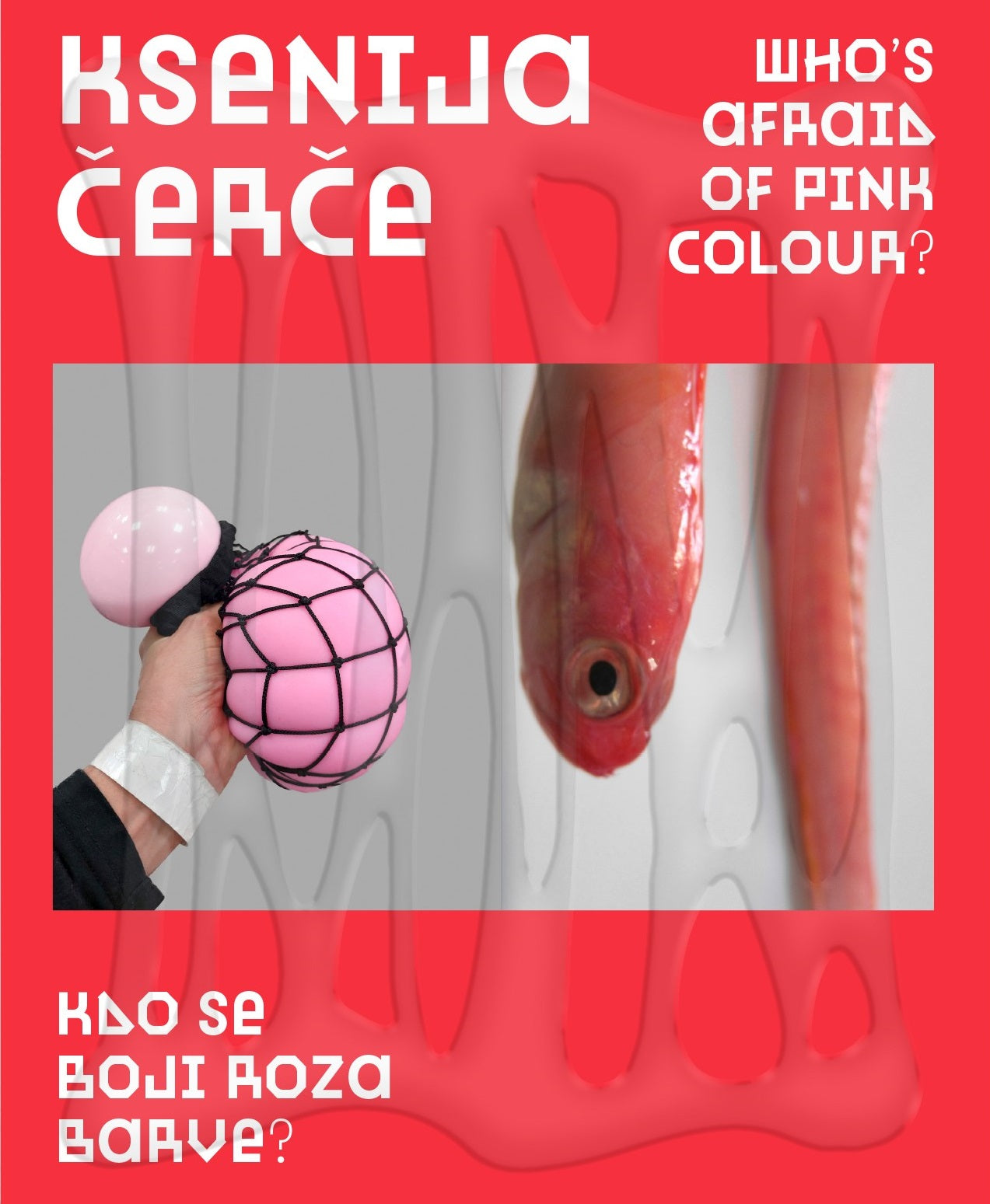 Who’s Afraid of Pink Colour? / Kdo se boji roza barve?