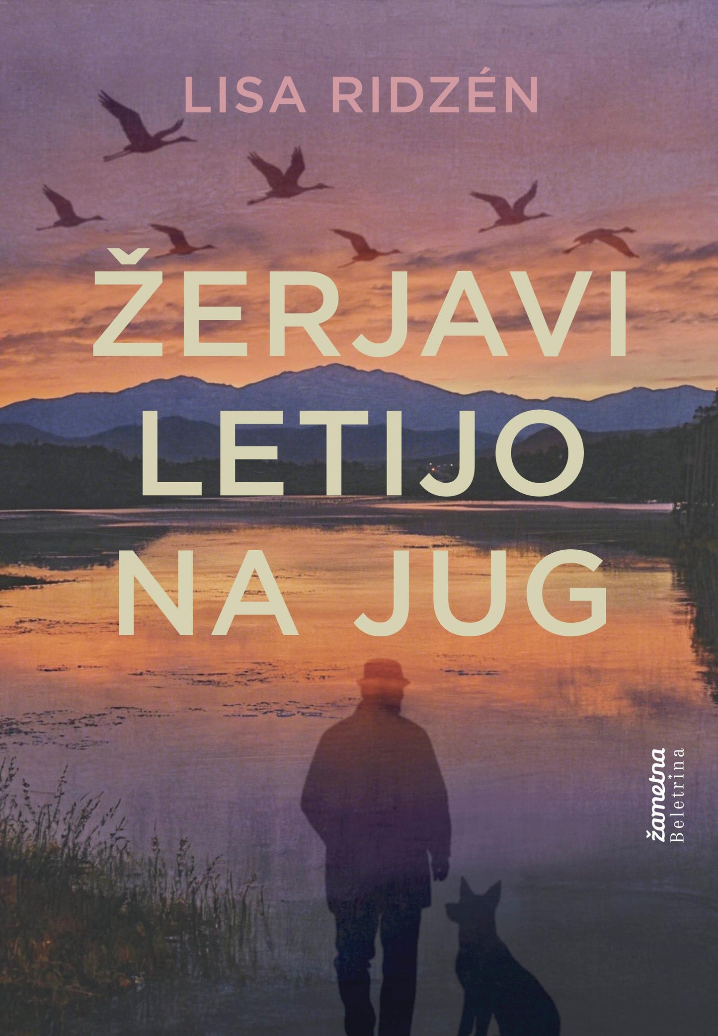 Žerjavi letijo na jug
