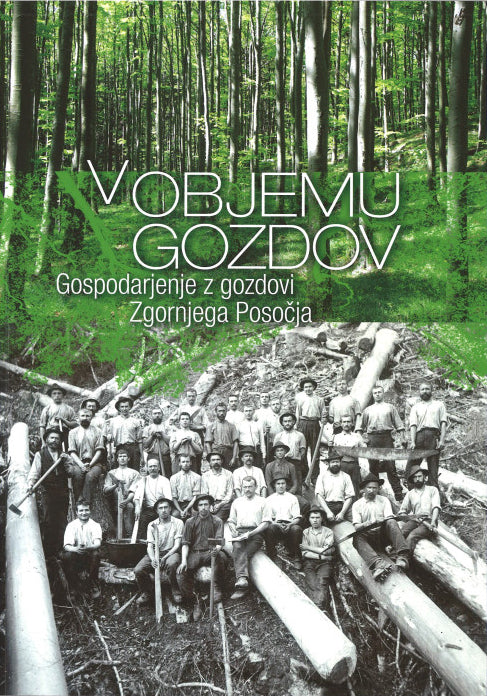 V objemu gozdov