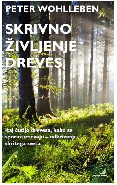 Skrivno življenje dreves: Kaj čutijo drevesa, kako se sporazumevajo – odkrivanje skritega sveta