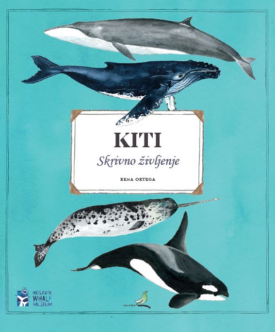 KITI. SKRIVNO ŽIVLJENJE
