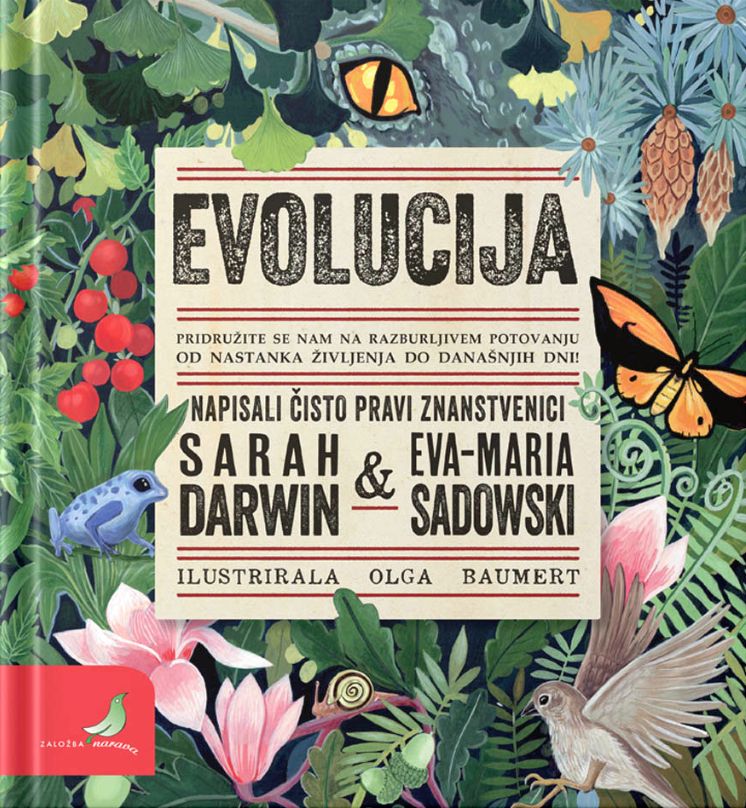 EVOLUCIJA