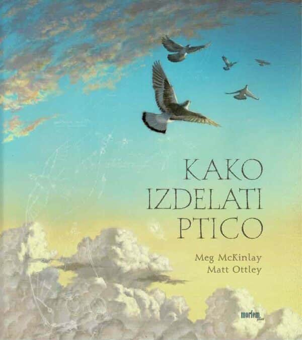 KAKO IZDELATI PTICO