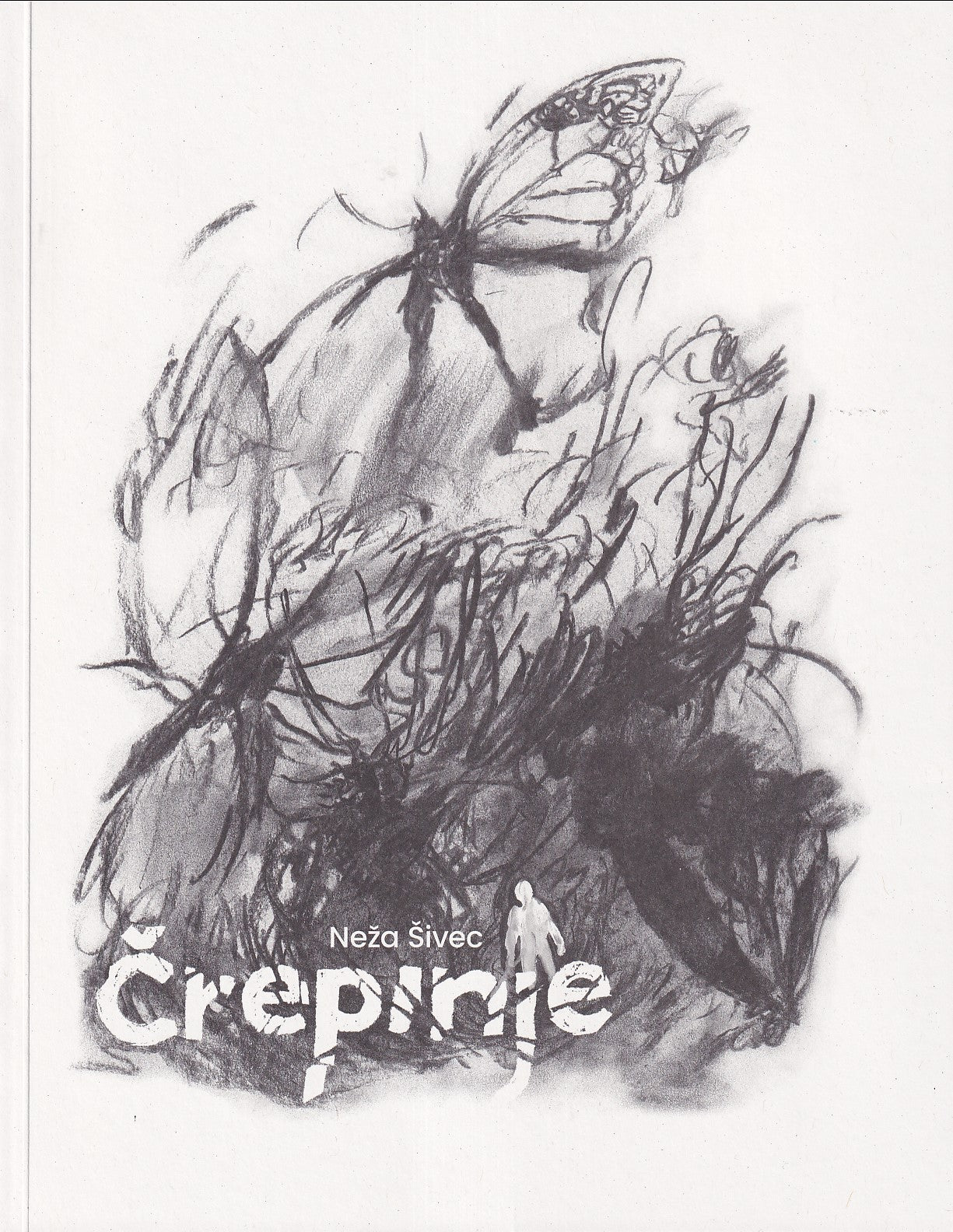 Črepinje