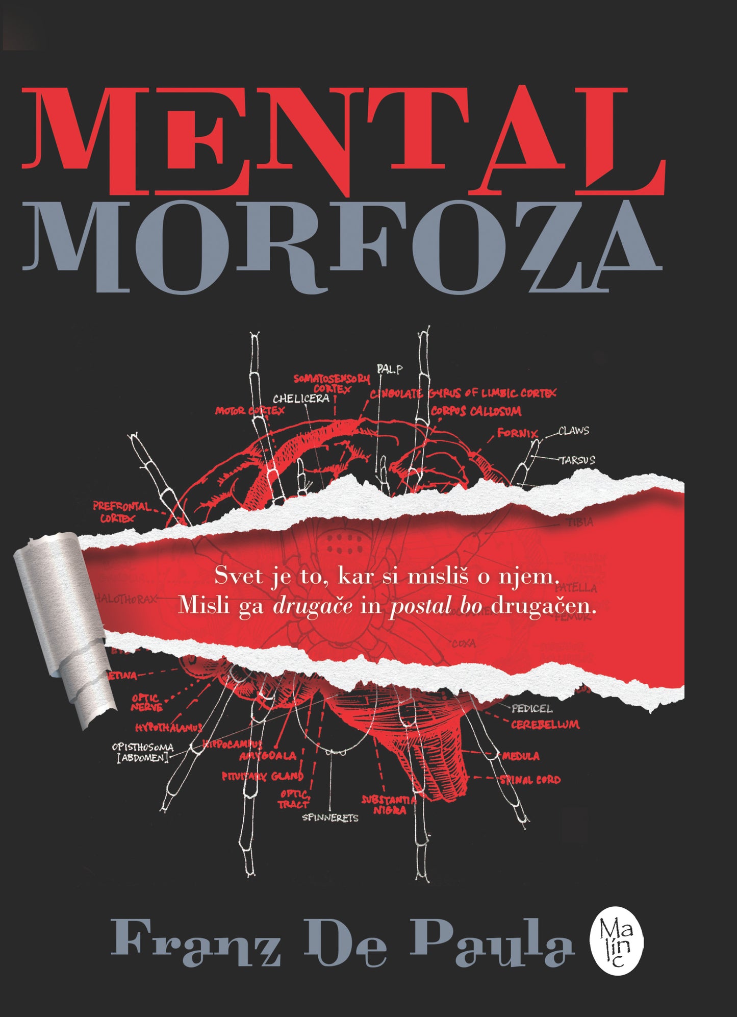MENTALMORFOZA