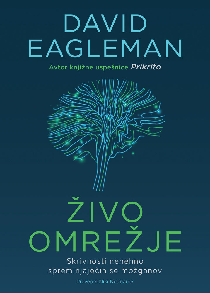Živo omrežje: skrivnosti nenehno spreminjajočih se možganov