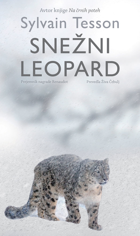 Snežni leopard