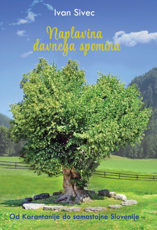 NAPLAVINA DAVNEGA SPOMINA