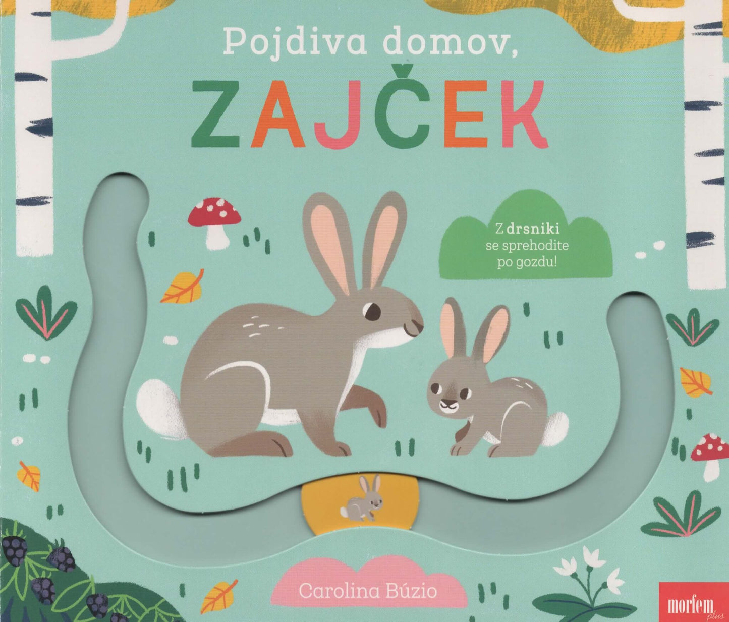 POJDIVA DOMOV, ZAJČEK