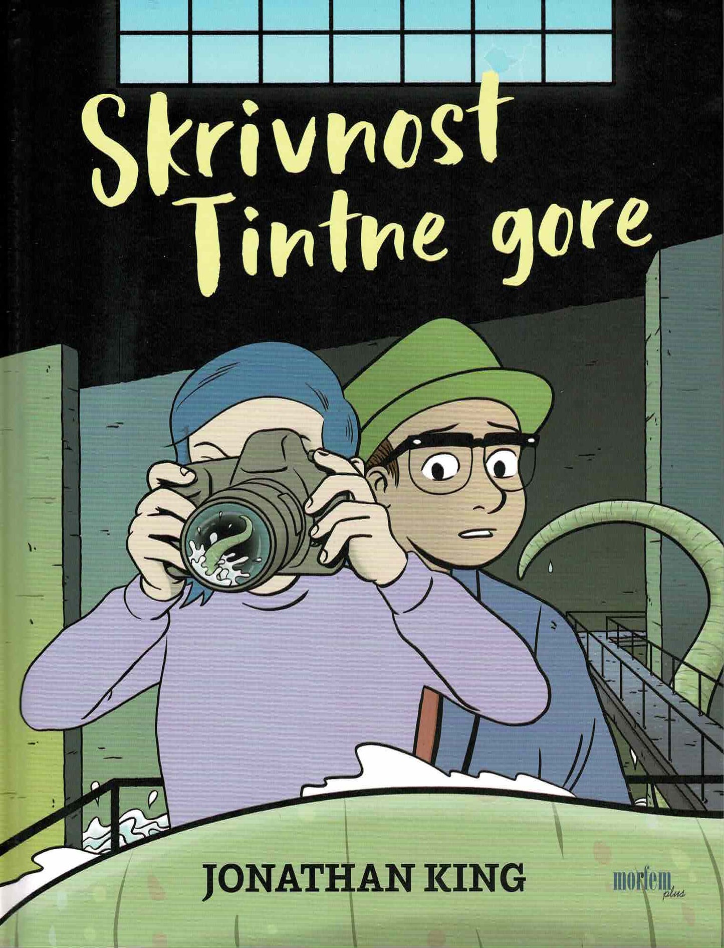 SKRIVNOST TINTNE GORE