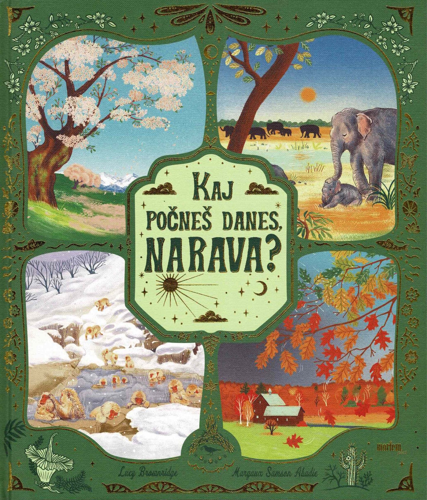 Kaj počneš danes, narava?