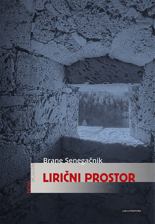 LIRIČNI PROSTOR (SUB)