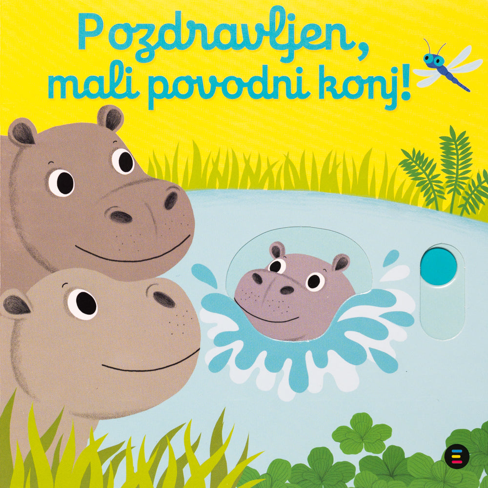 POZDRAVLJEN, MALI POVODNI KONJ!