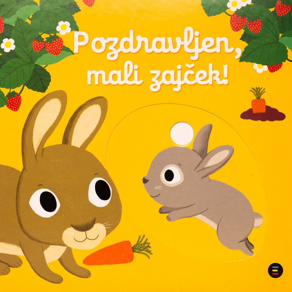 POZDRAVLJEN, MALI ZAJČEK!