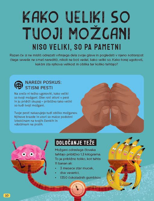 NORA SPOZNANJA O IZJEMNIH MOŽGANIH