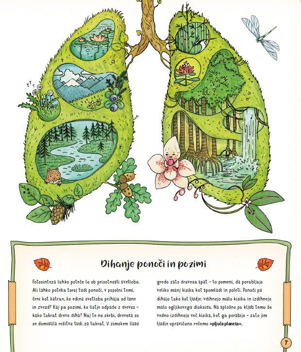 SKRIVNOSTNO ŽIVLJENJE GOZDOV