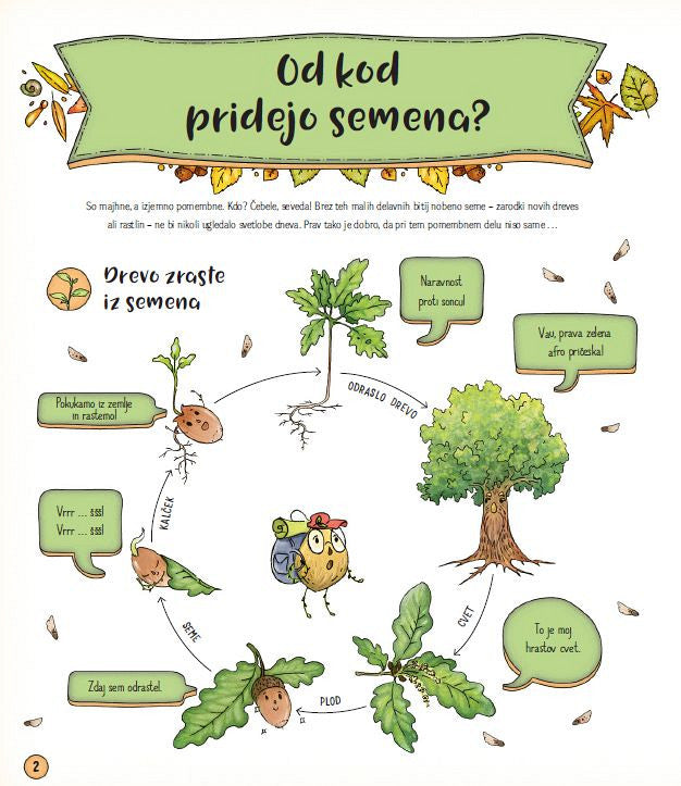 SKRIVNOSTNO ŽIVLJENJE GOZDOV