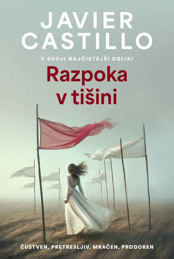 Razpoka v tišini
