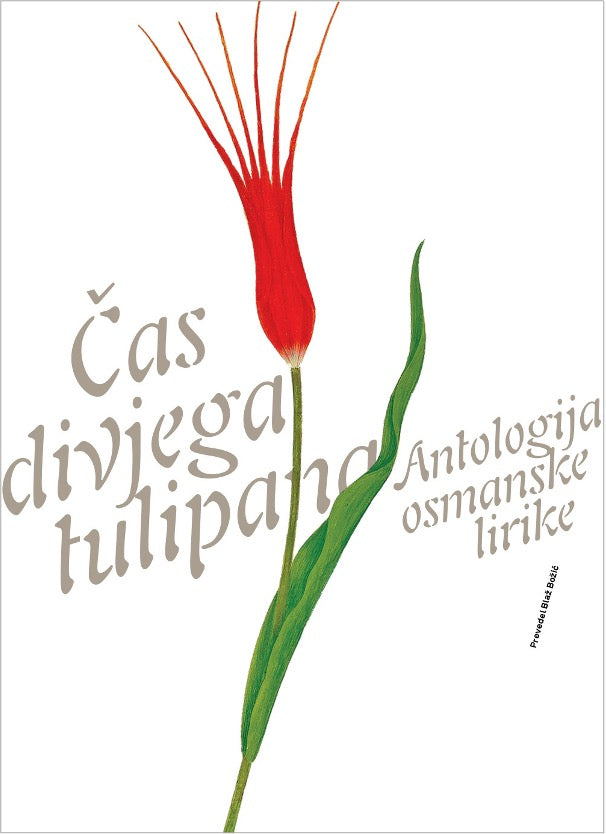 Čas divjega tulipana