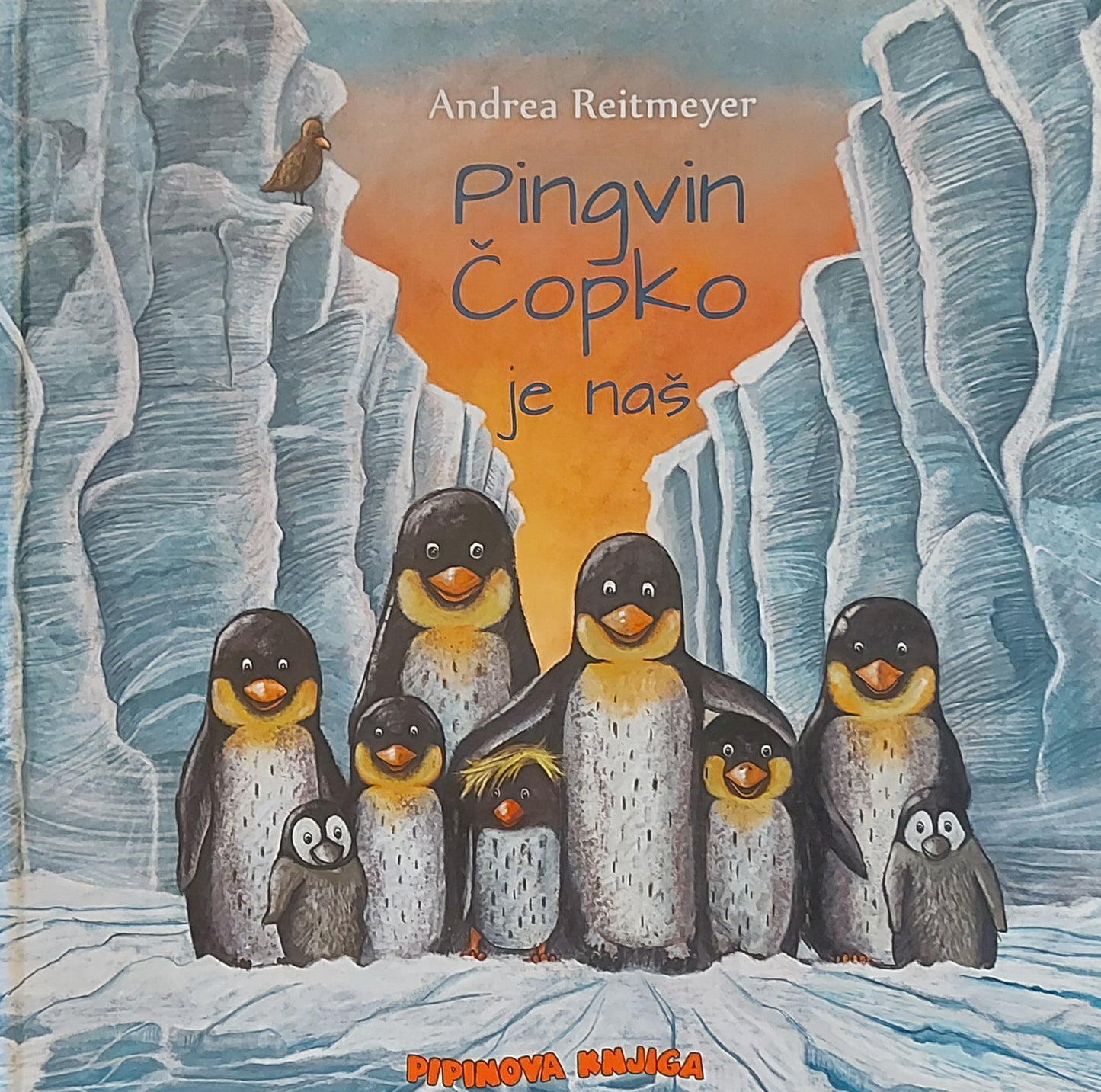 PINGVIN ČOPKO JE NAŠ