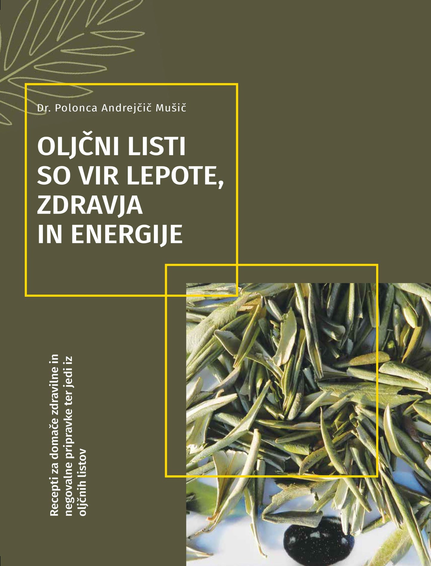 Oljčni listi so vir lepote, zdravja in energije