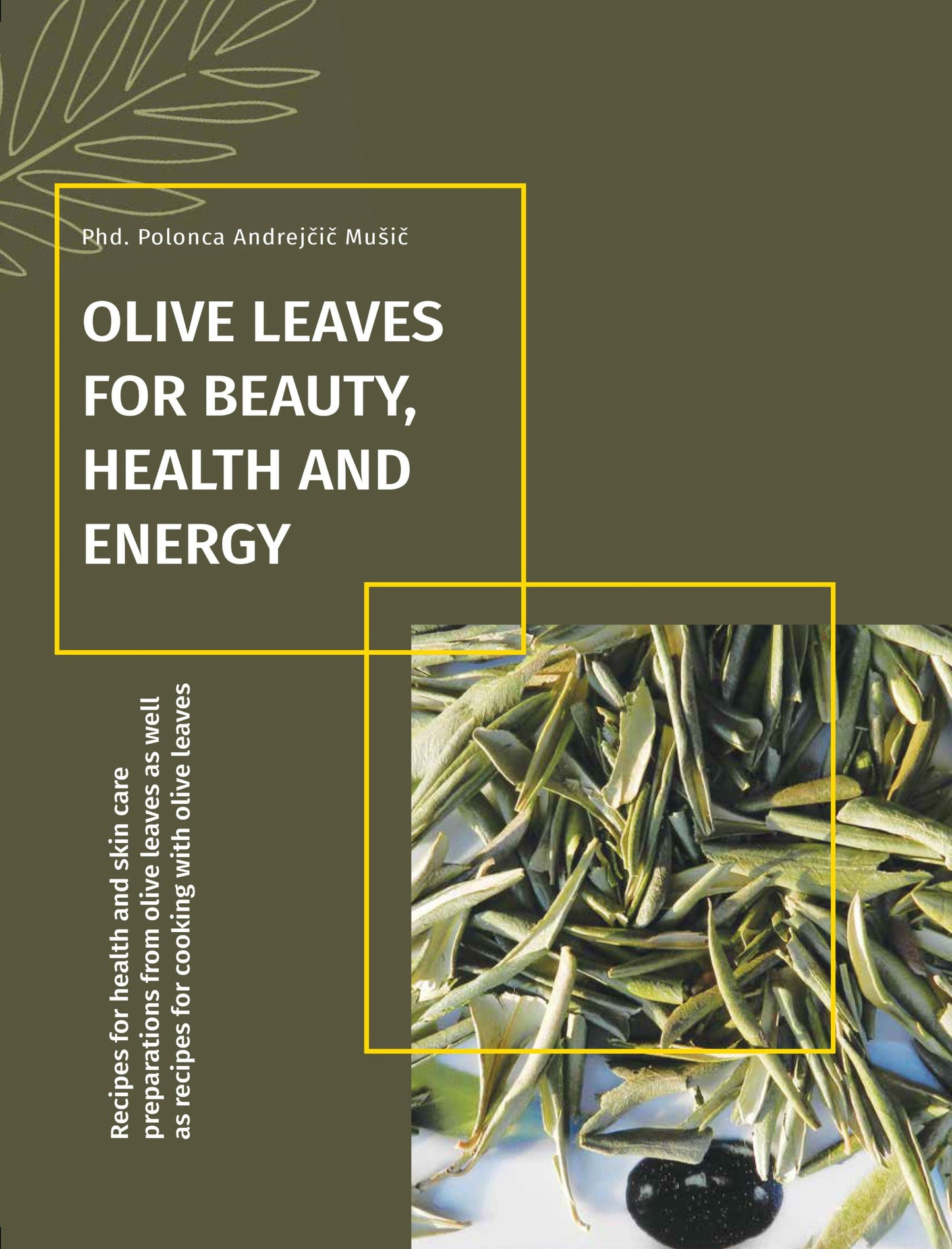 Olive leaves for beauty, health and energy