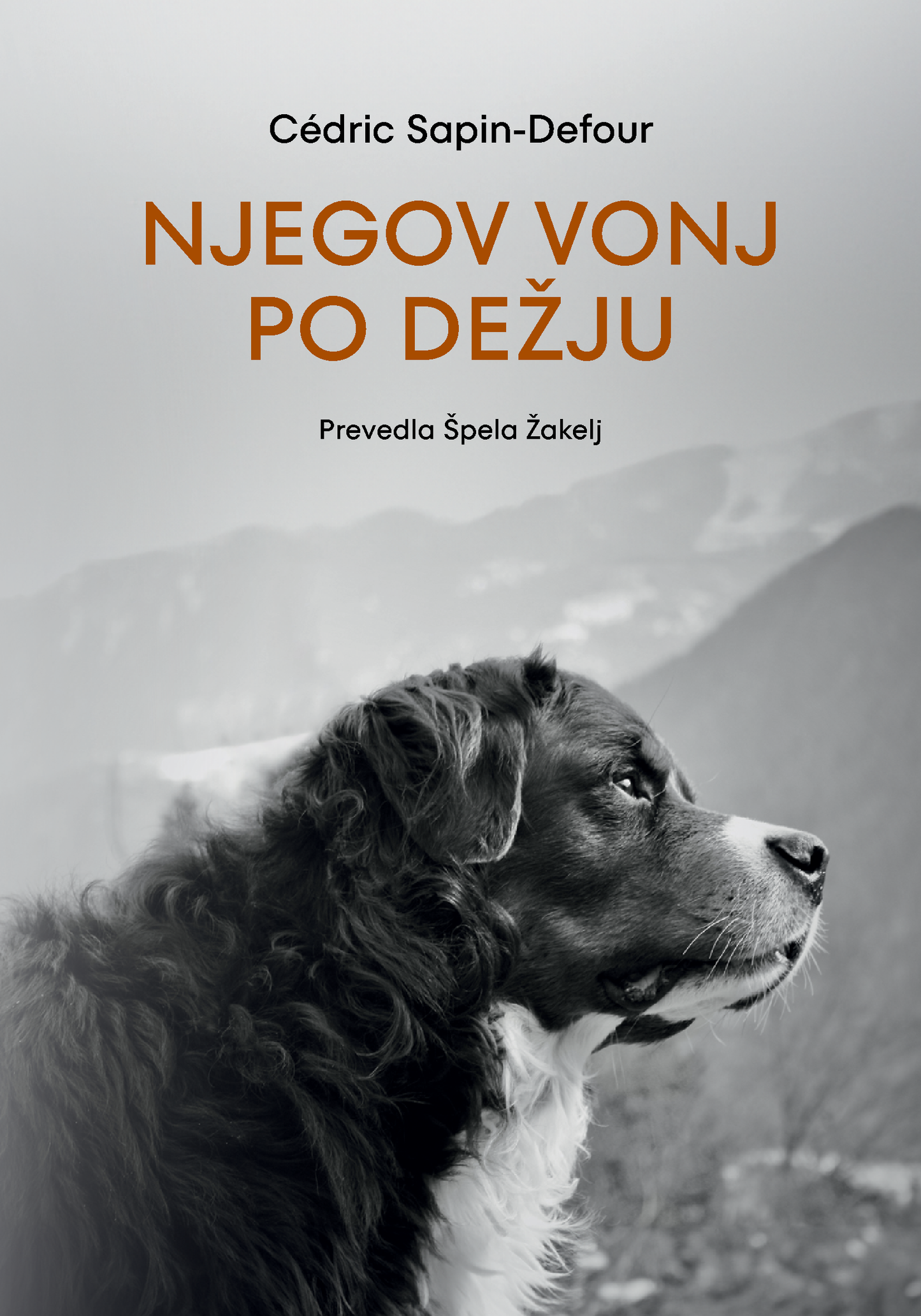NJEGOV VONJ PO DEŽJU TV