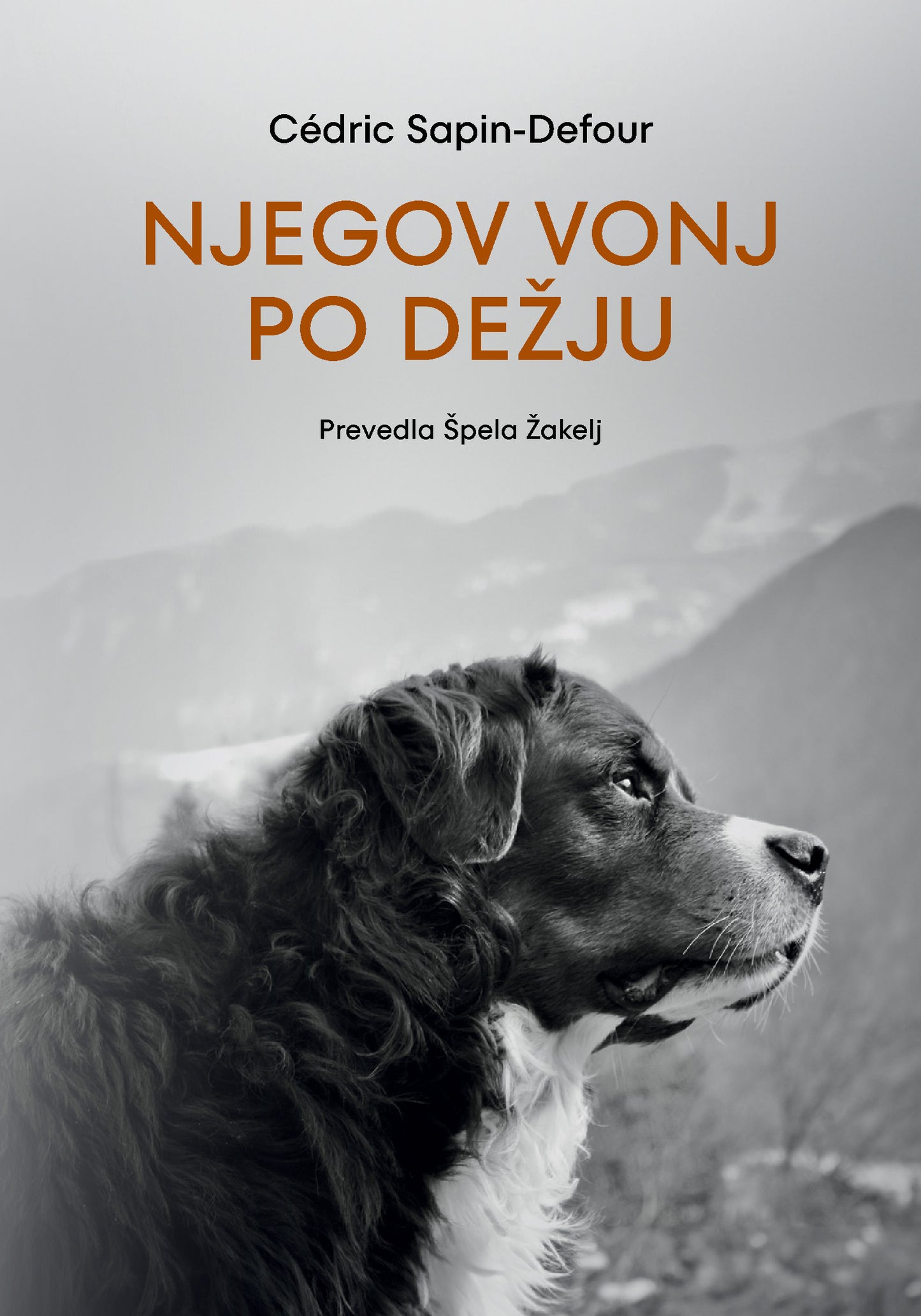 NJEGOV VONJ PO DEŽJU MV