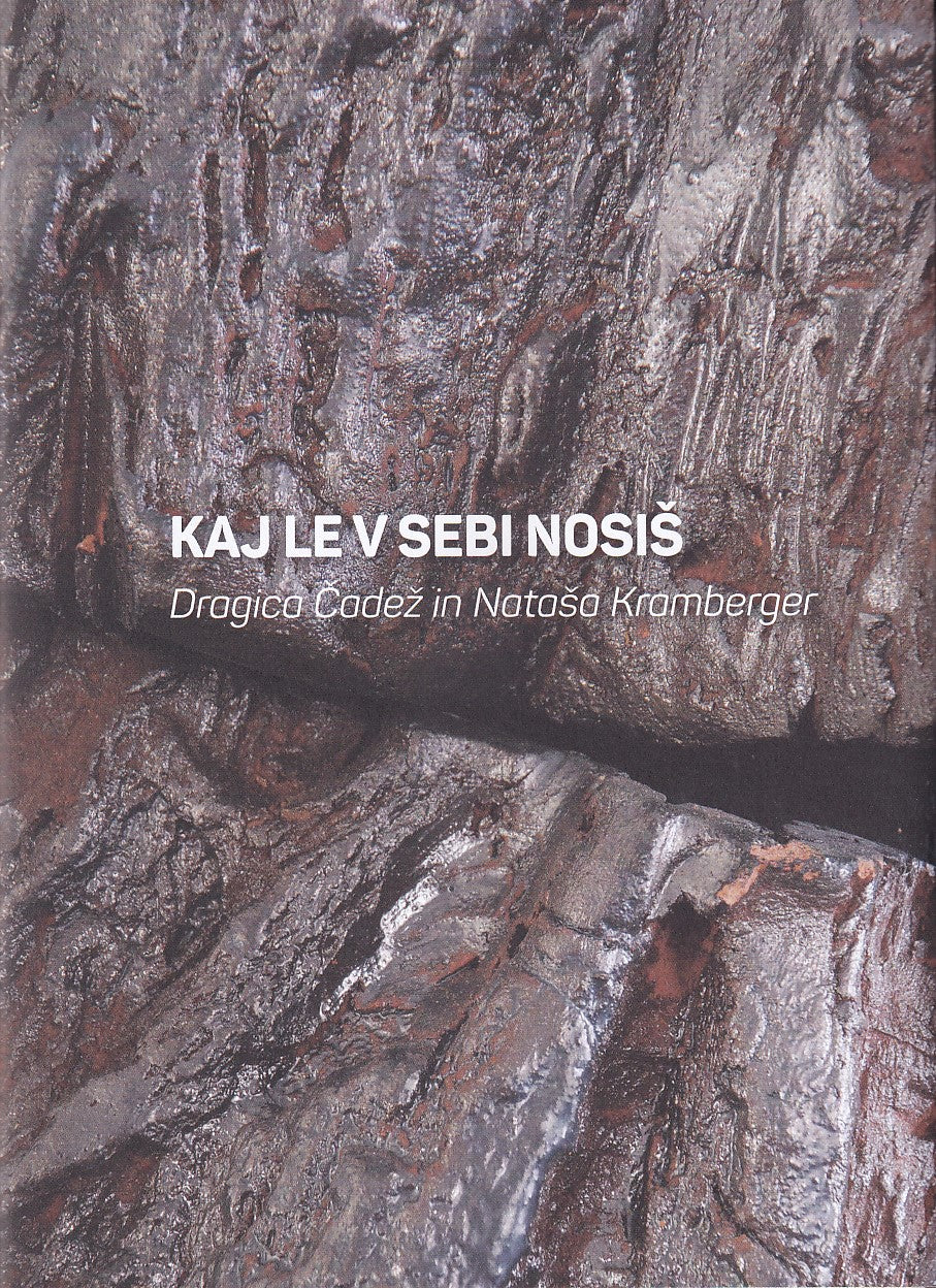 Kaj le v sebi nosiš