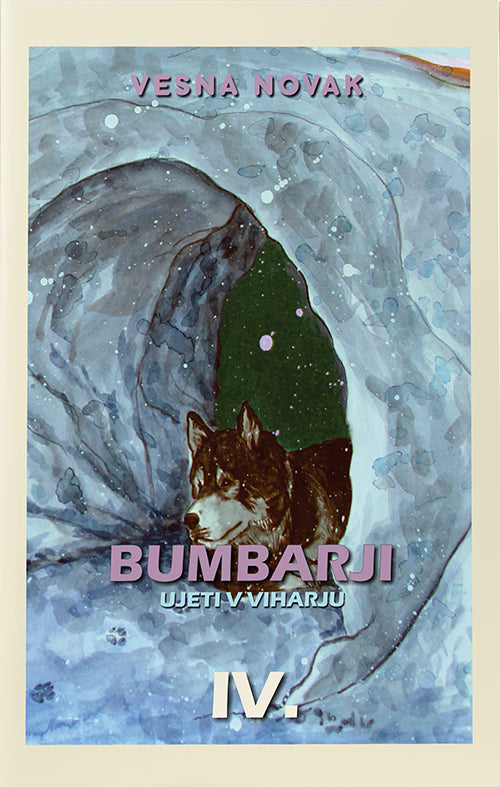 Ujeti v viharju (Bumbarji, 4. knjiga)
