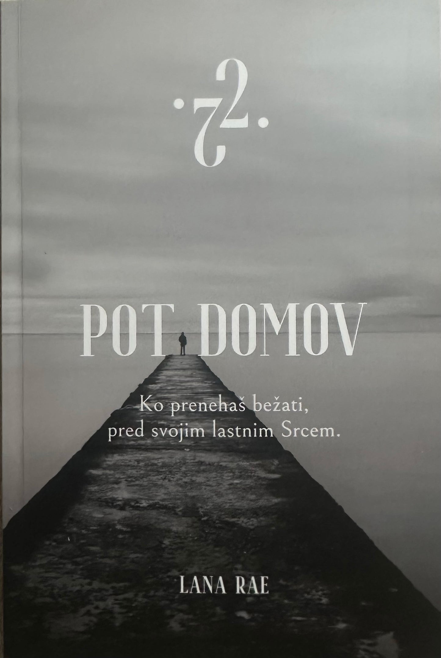 Pot domov