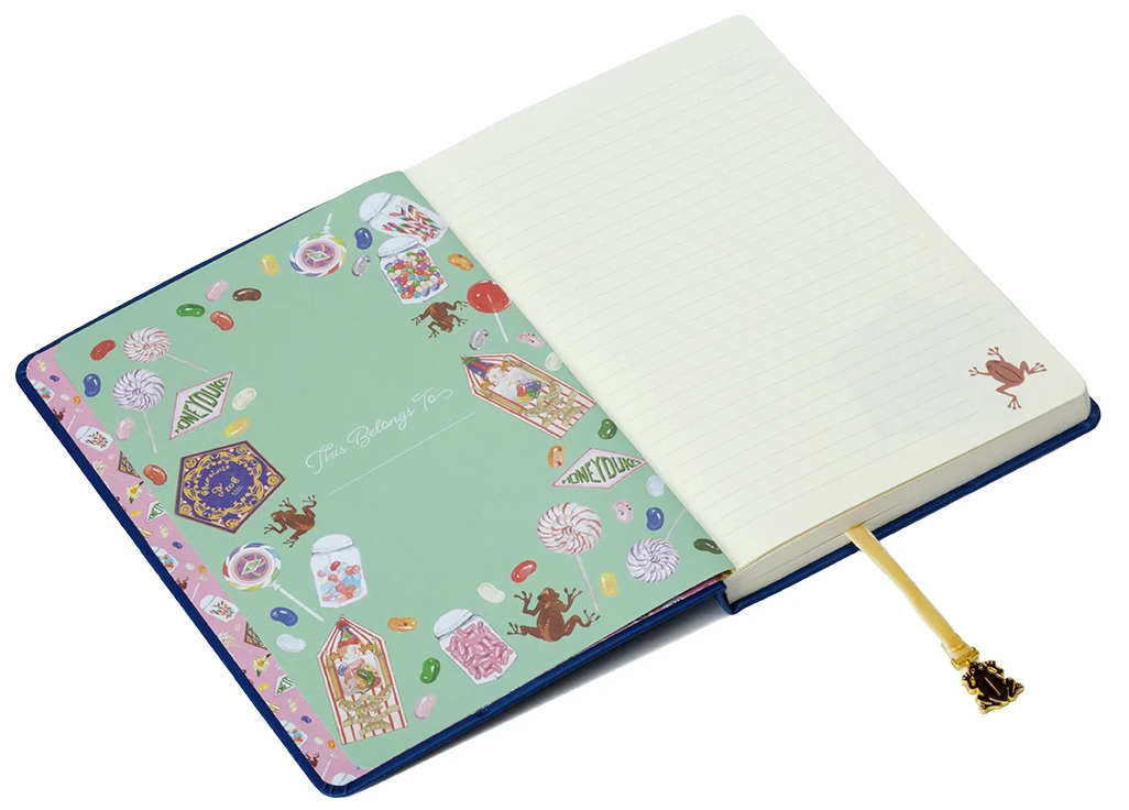 Harry Potter: Chocolate Frog Journal with Ribbon Charm