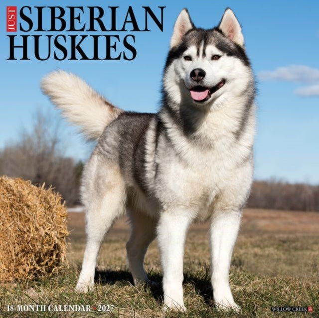 Siberian Huskies 2027 Wall