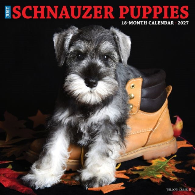Schnauzer Puppies 2027 Wall
