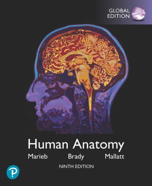 Human Anatomy
