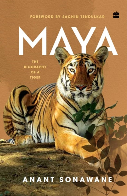Maya