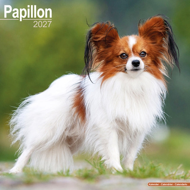 Papillon