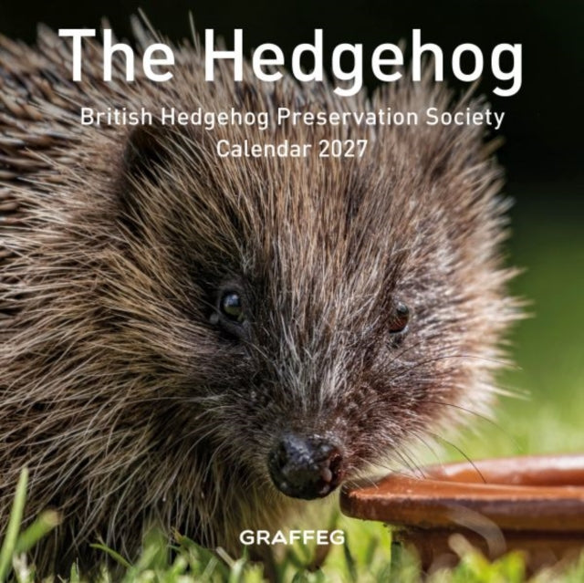 Hedgehog Calendar 2027