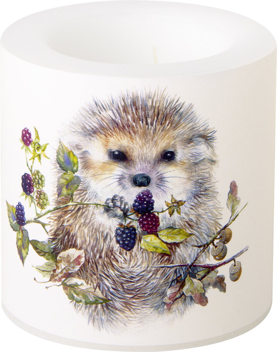 Sveča, FOREST HEDGEHOG