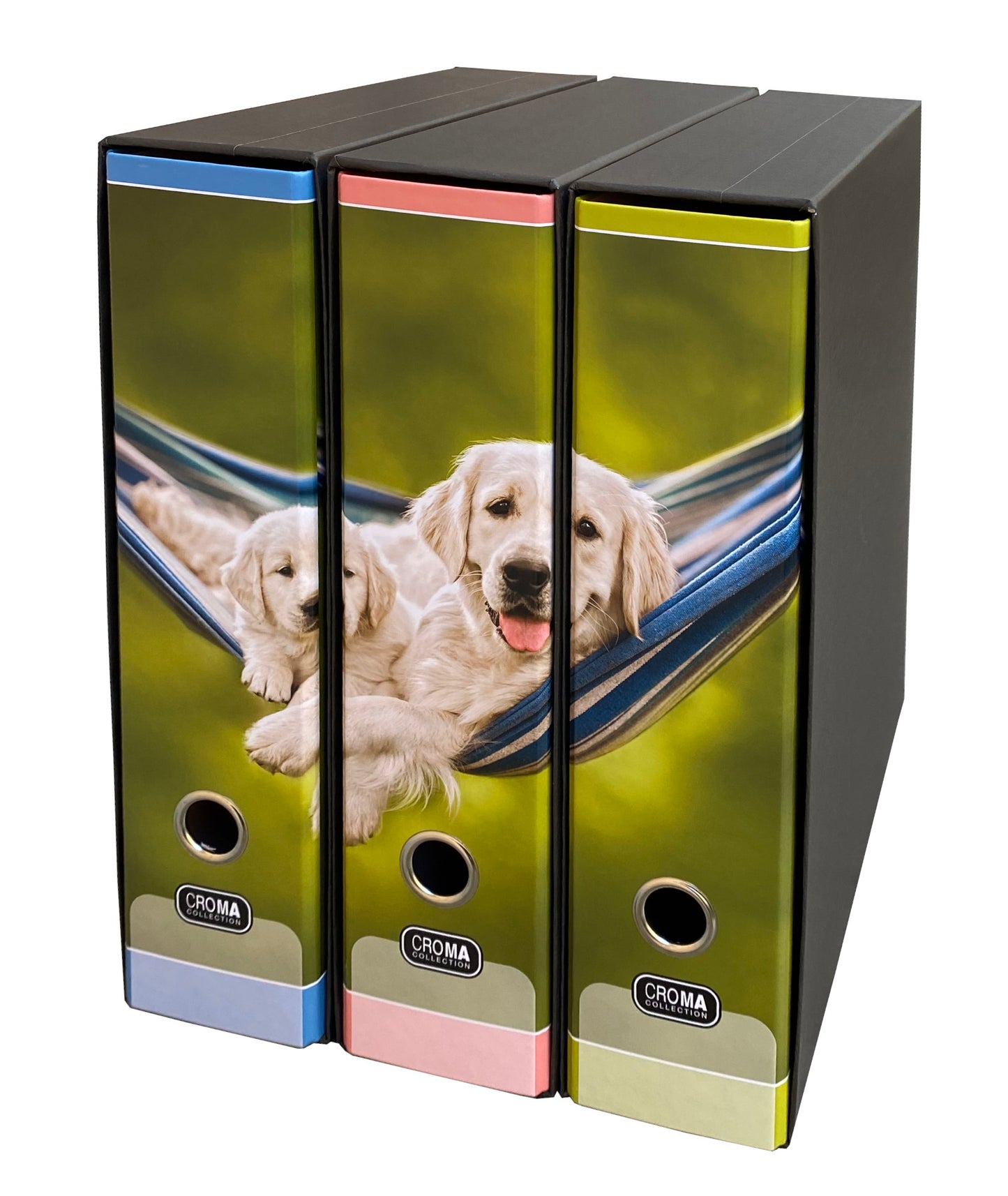 Set 3 rinčnih map A4 Croma 3/1, Kužka