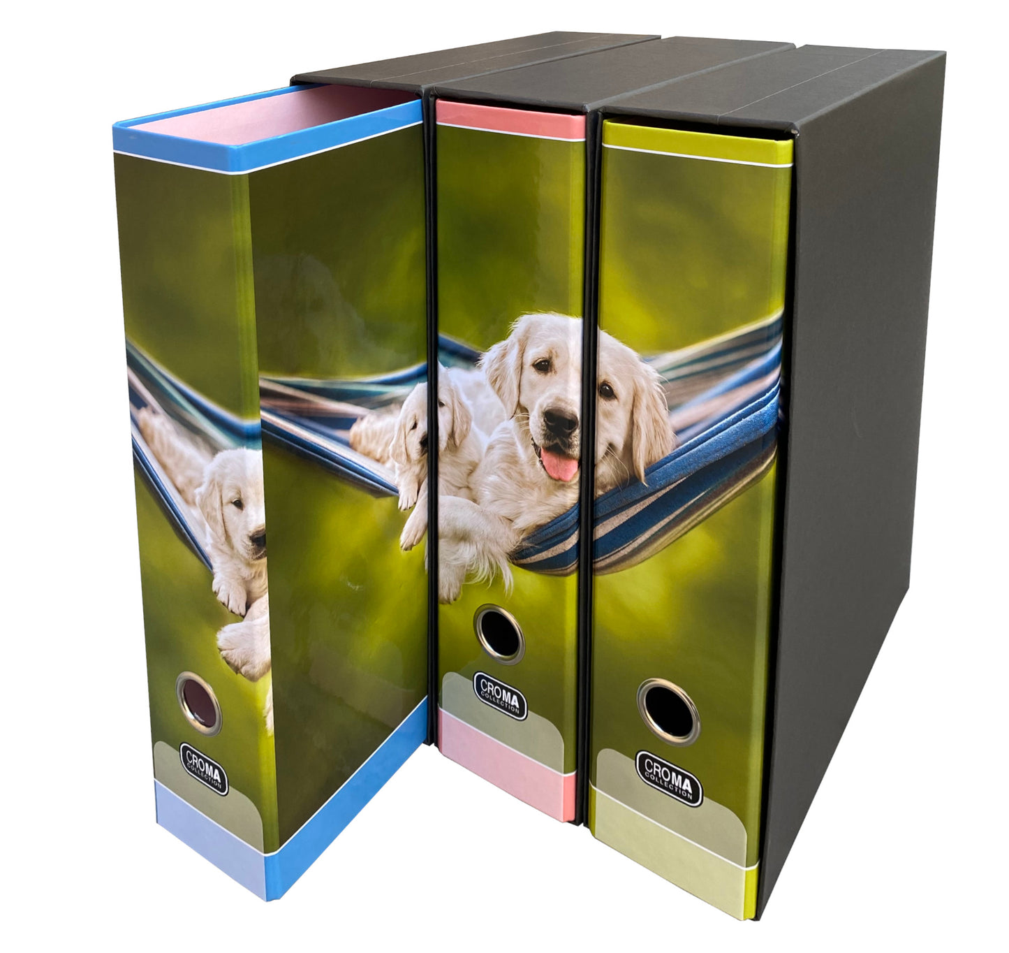 Set 3 rinčnih map A4 Croma 3/1, Kužka