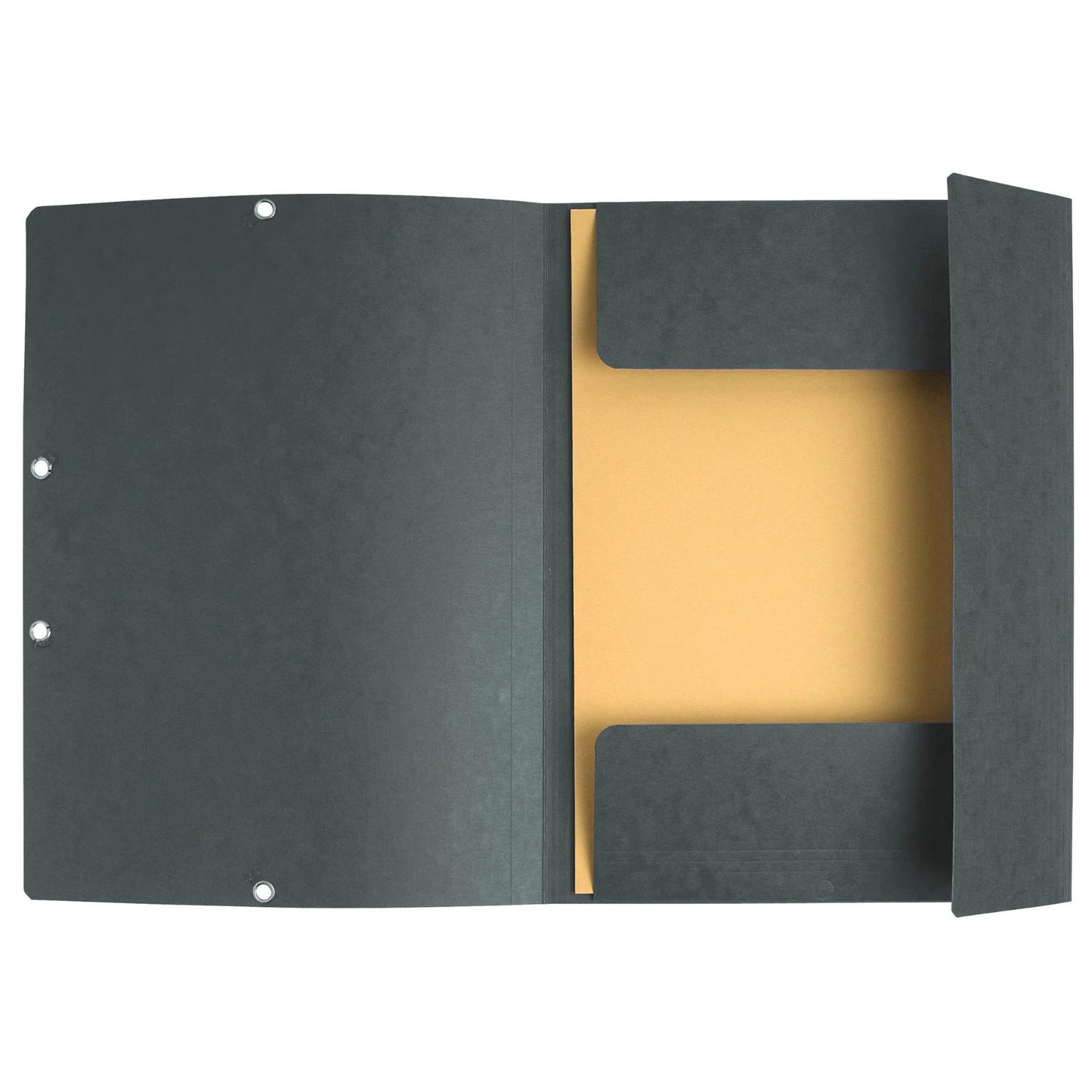 Mapa s klapo in elastiko Exacompta, A4, kartonska, temno siva