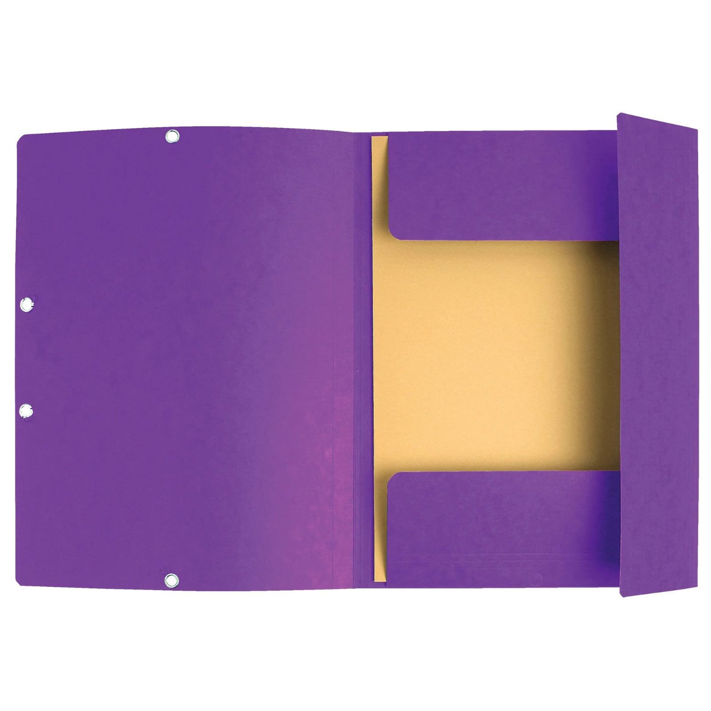 Mapa s klapo in elastiko Exacompta, A4, kartonska, vijolična