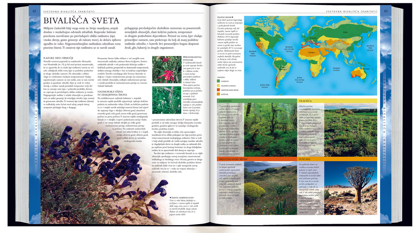 RASTLINE - VELIKA ILUSTRIRANA ENCIKLOPEDIJA
