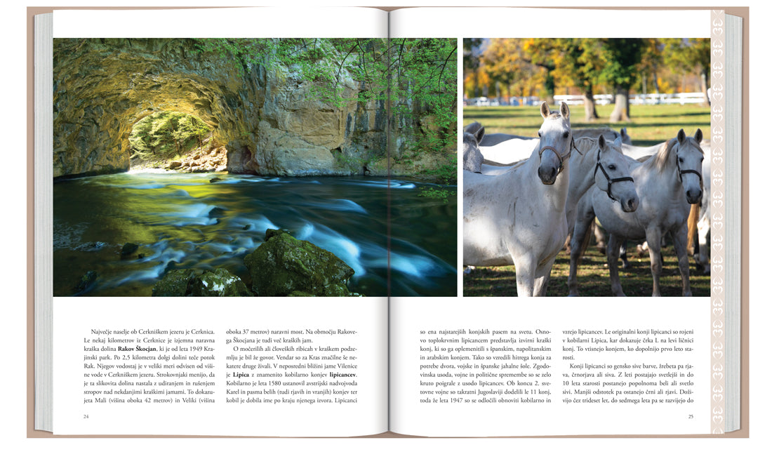 Simboli Slovenije in njene posebnosti