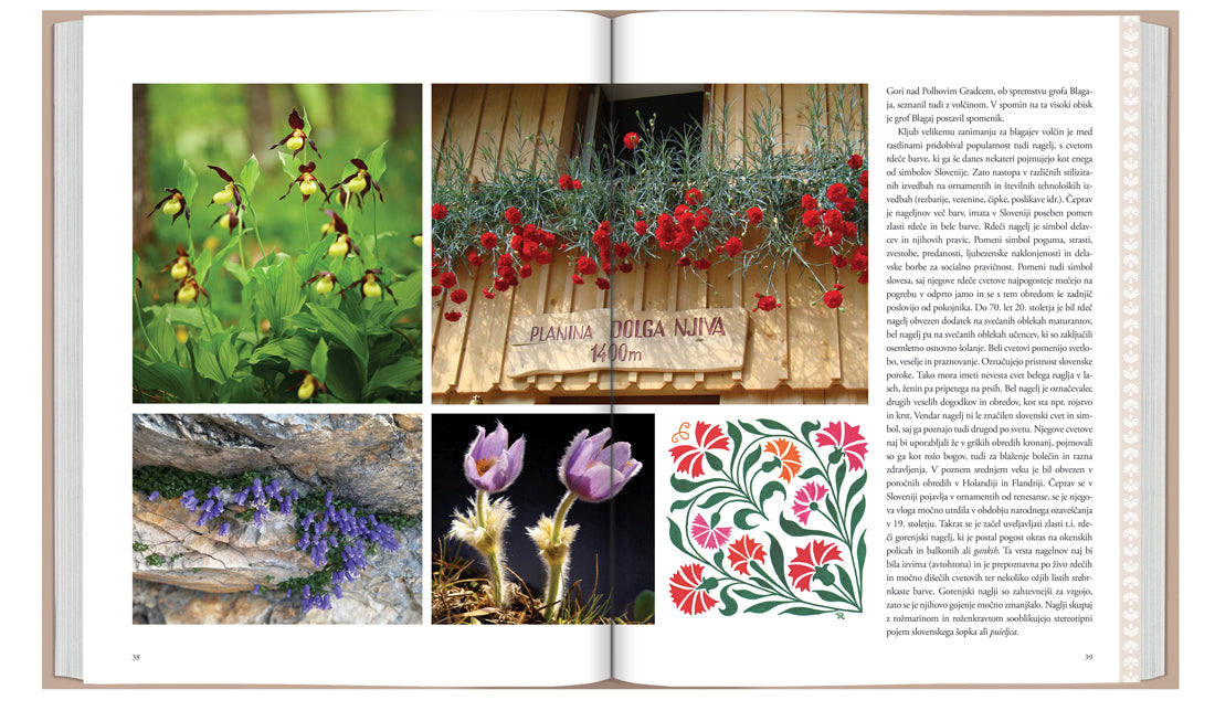 Simboli Slovenije in njene posebnosti