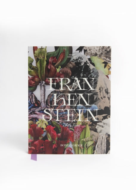 Frankenstein Art Novel