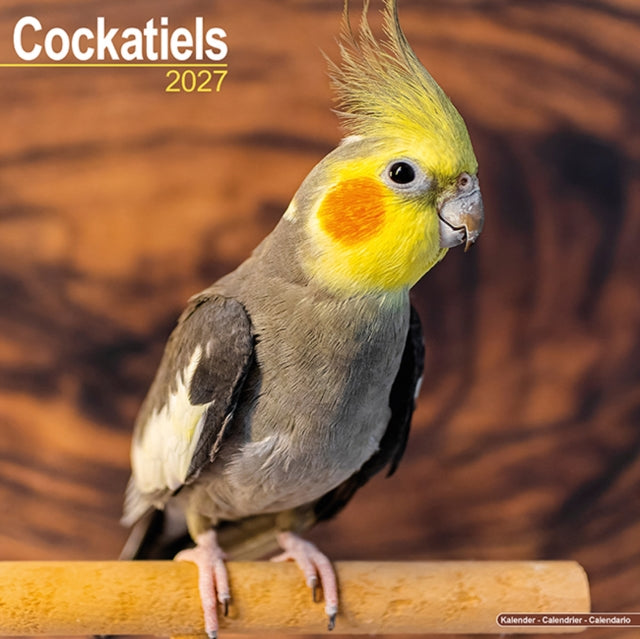 Cockatiels