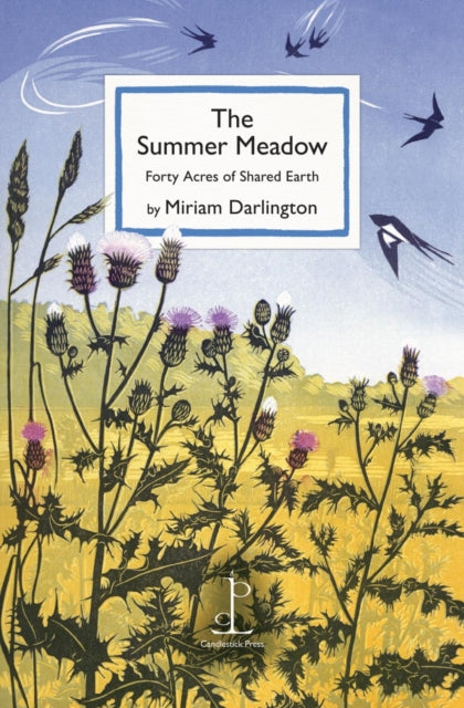 Summer Meadow