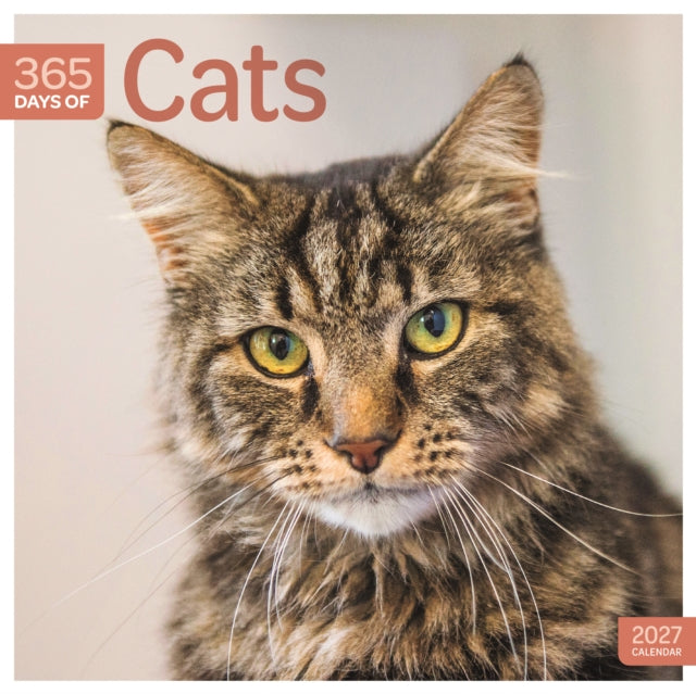 Cats 365 Days (PFP) W